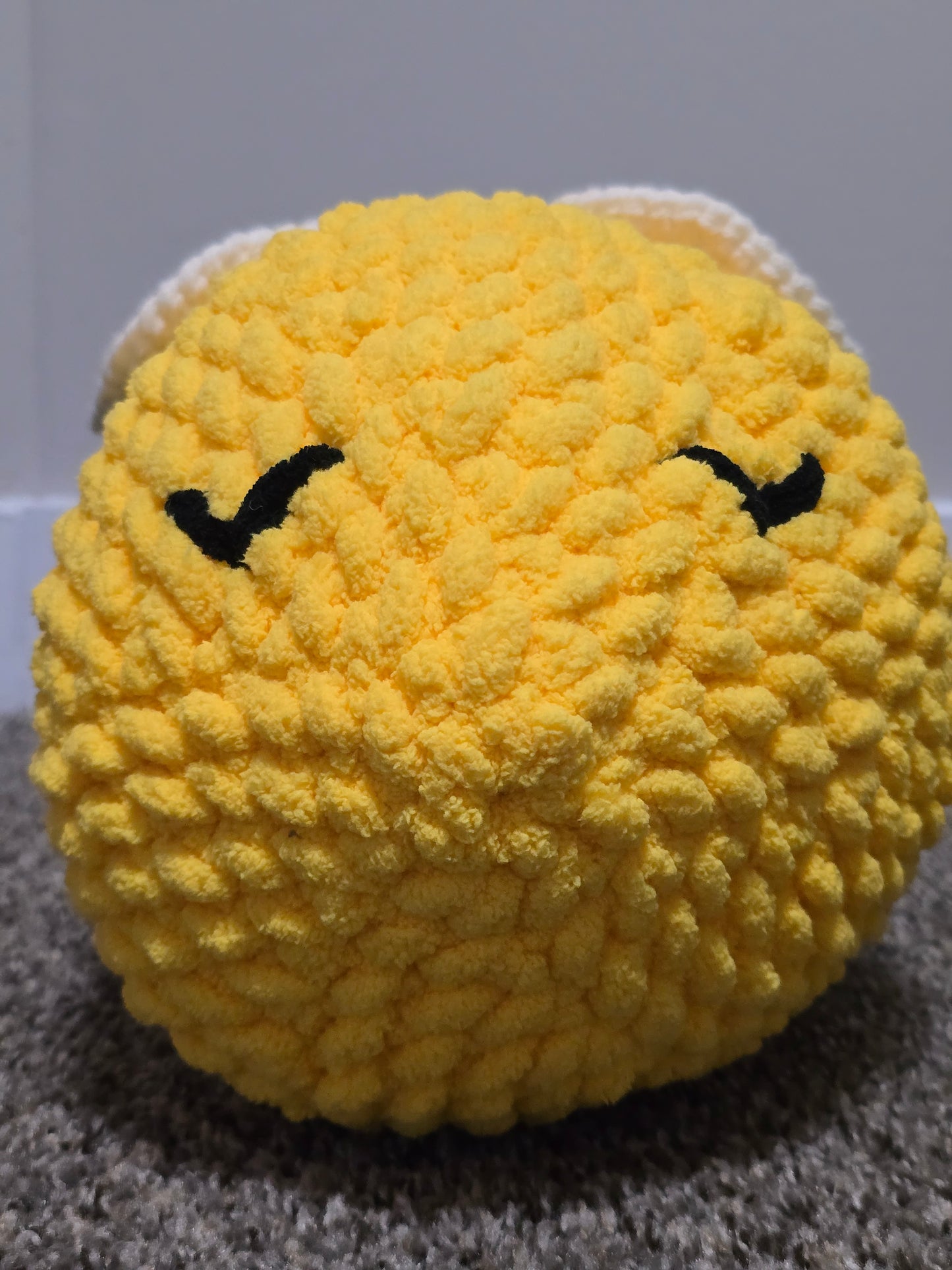 Giant Sleepy Bee