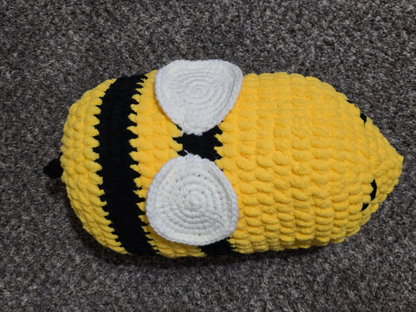Giant Sleepy Bee